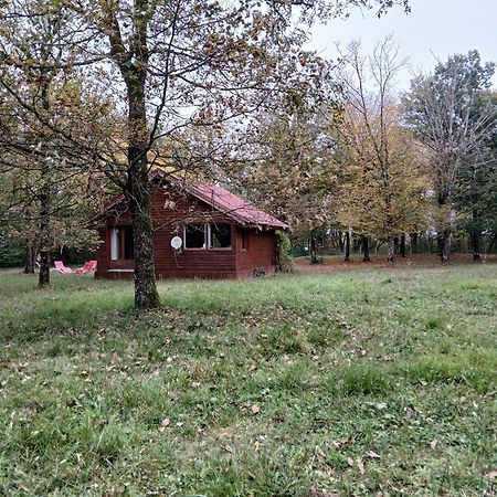 Chalet En Foret, Brame Du Cerf Valpuiseaux Exterior photo