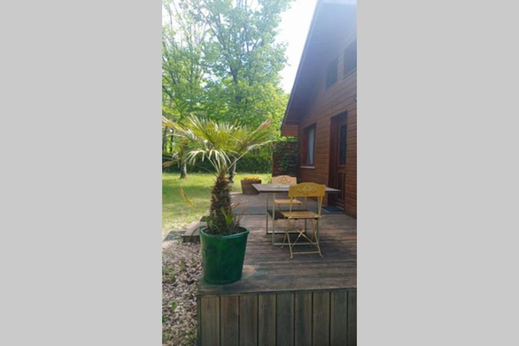 Chalet En Foret, Brame Du Cerf Valpuiseaux Exterior photo
