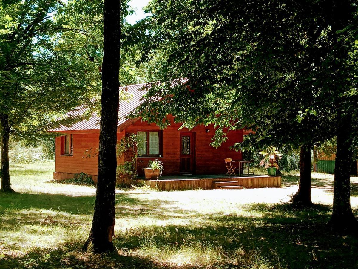 Chalet En Foret, Brame Du Cerf Valpuiseaux Exterior photo