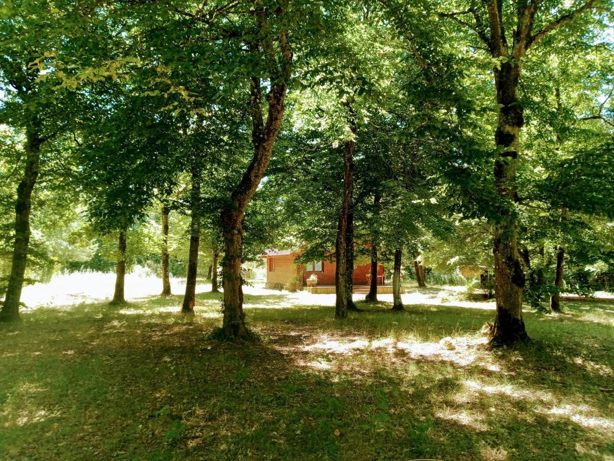 Chalet En Foret, Brame Du Cerf Valpuiseaux Exterior photo